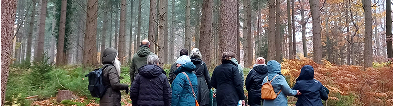 Hellwahrnehmungs-Ausbildung und Waldbaden in Seevetal Marion Golz